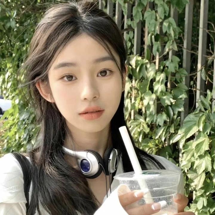 冰河世纪：猛犸象的圣诞